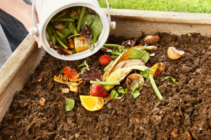 How to Start Composting at Home